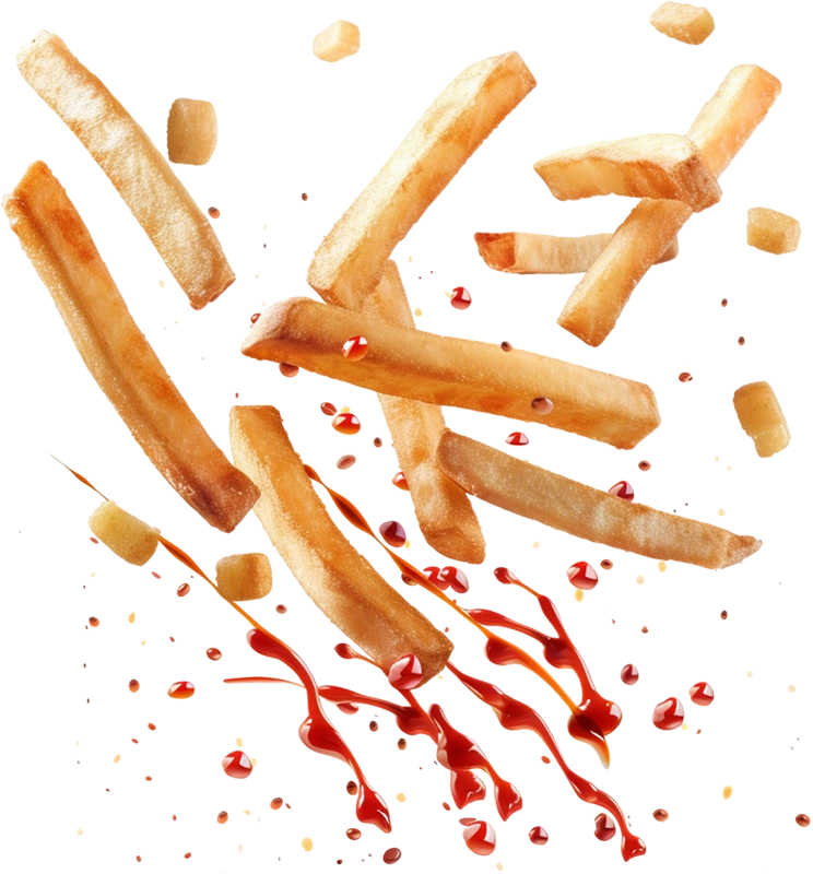 frite fly ketchup 01